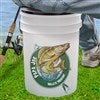 Walleye