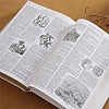Dictionary