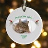 Cat Design