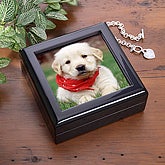 treasure box