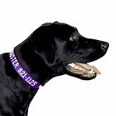 Personalized Pet Collar With Name and Phone Number Large, Small