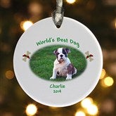 Ornament - 6346