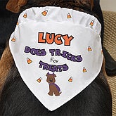 Dog Bandana - 7438