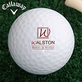 Personalized Corporate Custom Logo Golf Ball - 8546