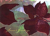 Pointsettias In Bloom  with <u>PRINTED</u> Envelopes
