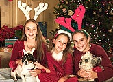 Christmas Cards