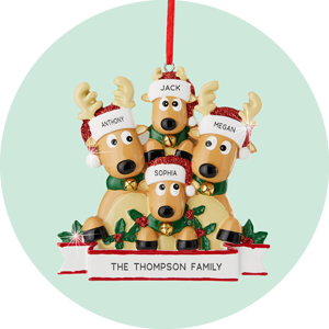 Carousel Family