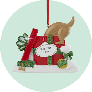 Personalized Pet Ornaments for Christmas 