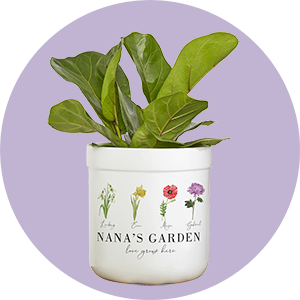 <b>Mothers Day Outdoor & Garden Gifts</b>