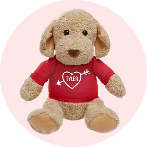 Personalized Valentines Day Teddy Bears