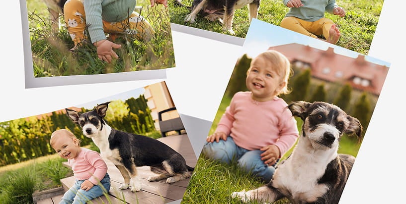 photo upload baby with dog