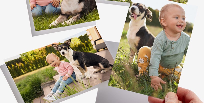 photo upload baby with dog