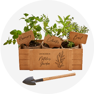 Garden planters