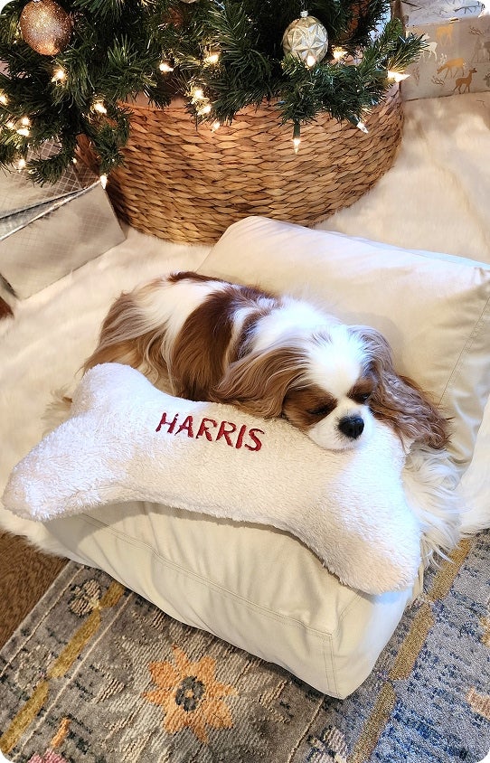 A dog laying down with a Christmas pillow reading 'Harris'