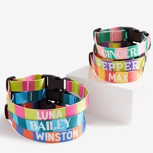 Stacked dog collars with bright colors
