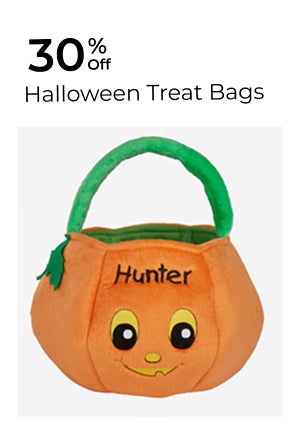 Halloween Treat Bags
