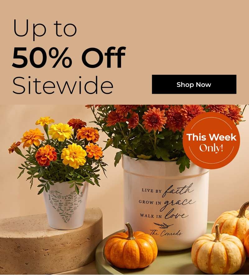Best Selling Gifts Up To 50% Off Sitewide