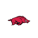 NCAA Arkansas Razorbacks