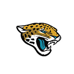NFL Jacksonville Jaguars Collection