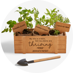 Outdoor & Garden Gifts