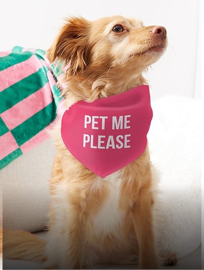 Pet