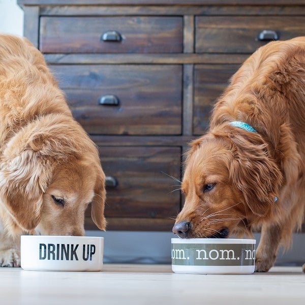 Dog Bowls & Food Mats