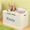 personalized austin toy box