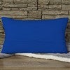 Product Thumbnail Lumbar Back