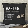 Product Thumbnail 18 Inch Pillow