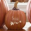 Product Thumbnail Environmental View Small Pumpkin