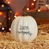 Product Thumbnail Small Cream Pumpkin