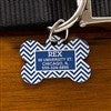 alt='Chevron Personalized Pet ID Tags'