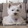 50x60 Tie Blanket