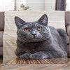 50x60 Lightweight Fleece Blanket