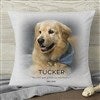 18 Inch Pillow