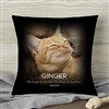 Product Thumbnail 14 Inch Pillow
