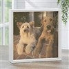 10x10 Ivory Light Box