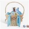 Product Thumbnail Blue Basket