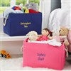 Pink & Navy Storage Totes 