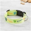 Small Dog Collar