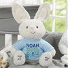 Product Thumbnail Blue Bunny
