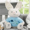 Product Thumbnail Blue Bunny