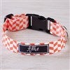 Small Dog Collar