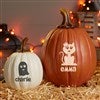 Product Thumbnail Large and Small Pumpkin