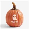 Product Thumbnail Small Orange Pumpkin