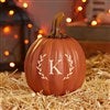 Product Thumbnail Environmental View Small Pumpkin