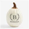 Product Thumbnail Large Cream Pumpkin