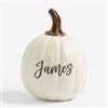 Product Thumbnail Small Cream Pumpkin