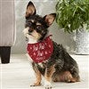 Product Thumbnail Small Dog Bandana