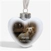 Product Thumbnail Ornament